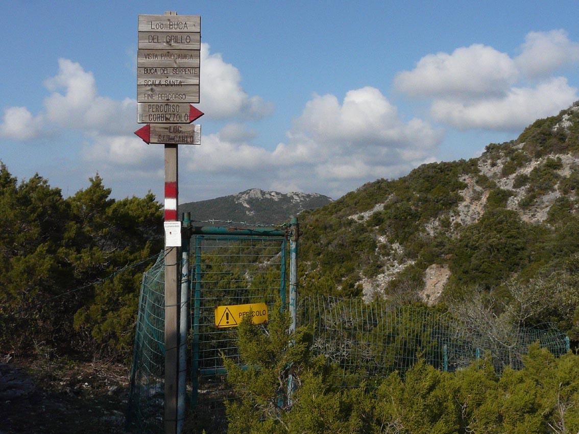 I Toponimi dedicati ai Rettili e agli Anfibi